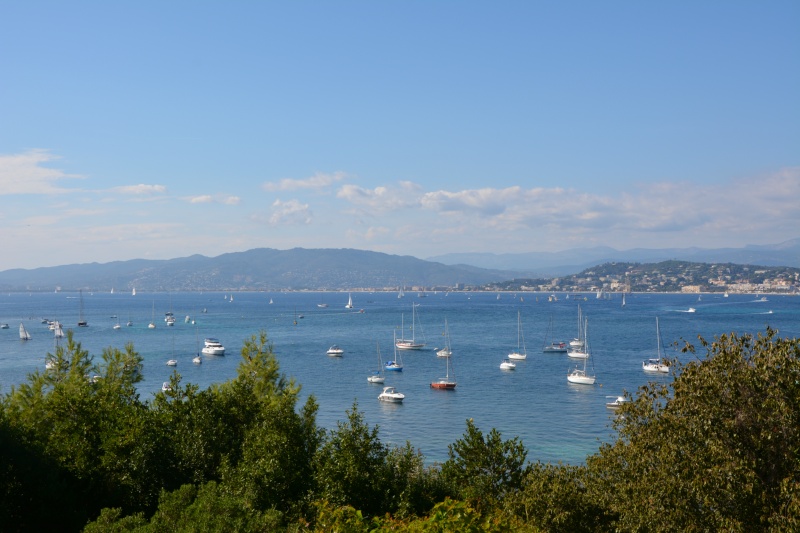 CANNES ANTIBES 115